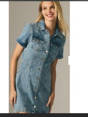 Pilcro by Anthropologie Demin Dress